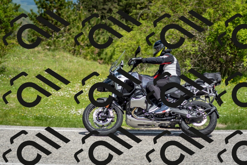 202505181119-DSC_8265_c2