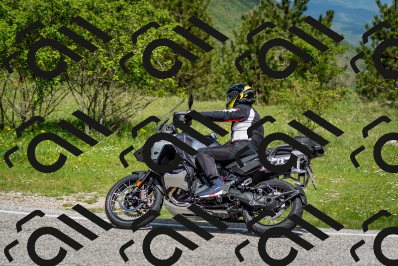 202505181119-DSC_8266_c2