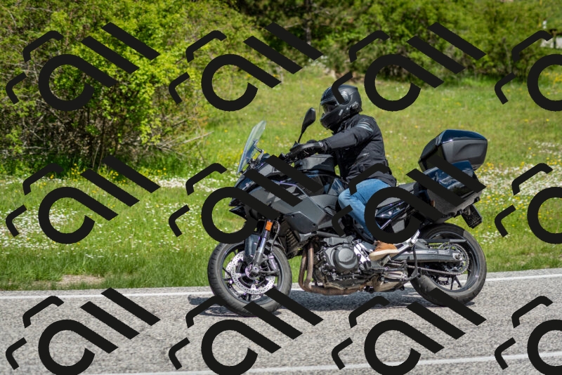 202505181119-DSC_8268_c2