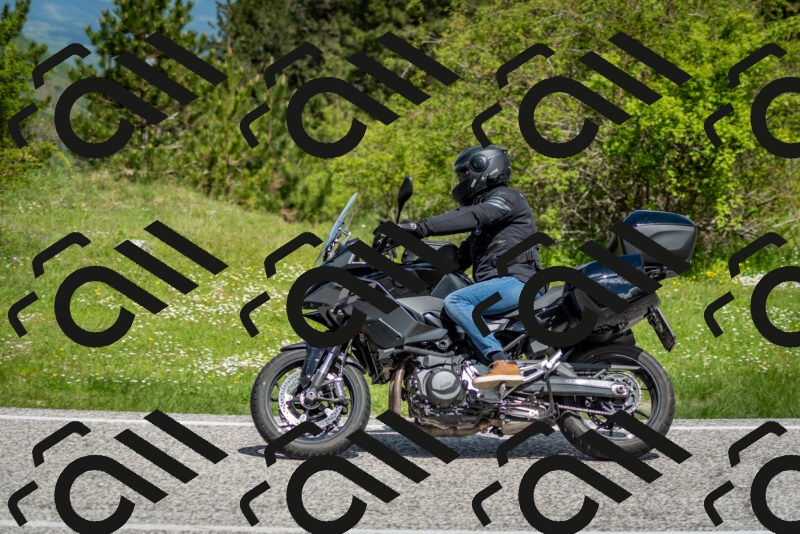 202505181119-DSC_8269_c2