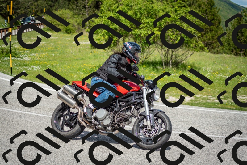 202505181119-DSC_8276_c2