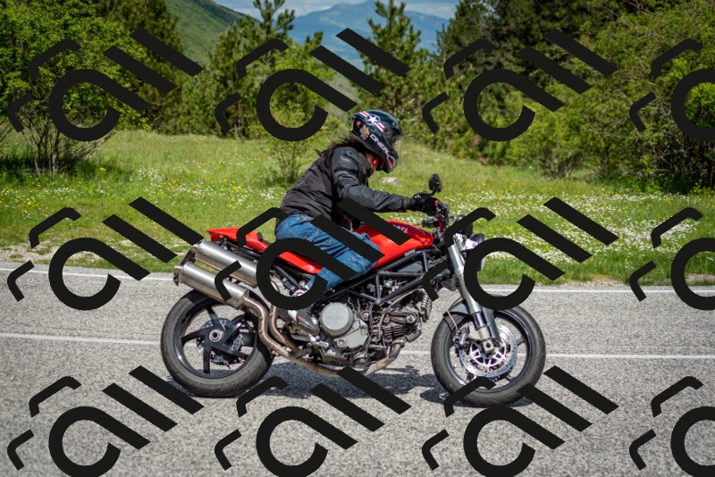 202505181119-DSC_8277_c2