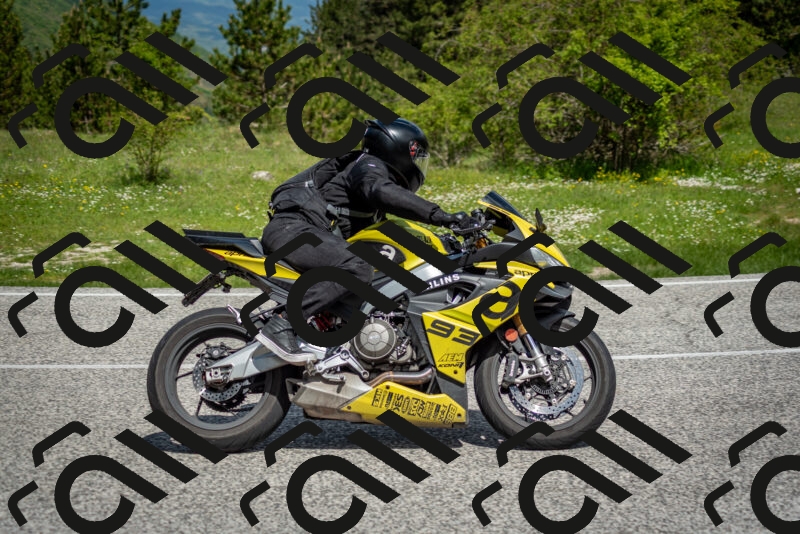 202505181119-DSC_8281_c2