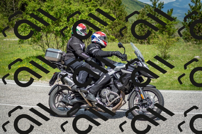 202505181119-DSC_8286_c2