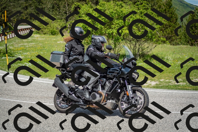 202505181119-DSC_8288_c2