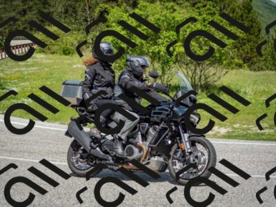 202505181119-DSC_8288_c2