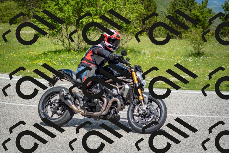 202505181119-DSC_8290_c2