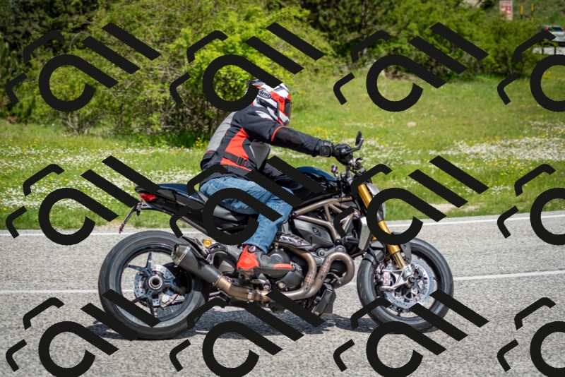 202505181119-DSC_8291_c2