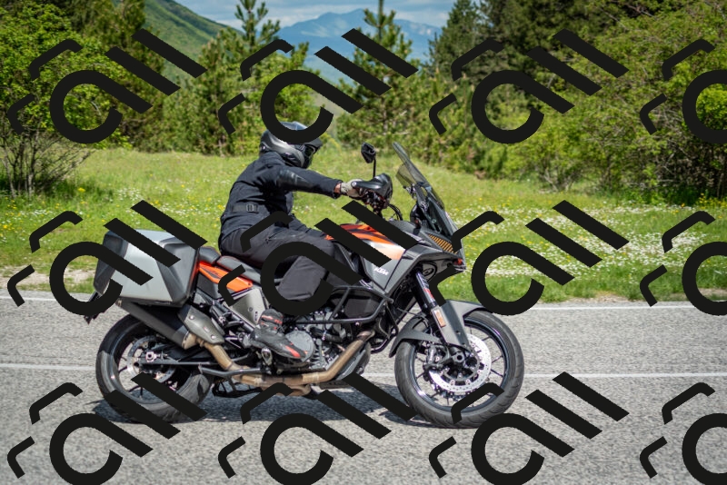 202505181120-DSC_8300_c2