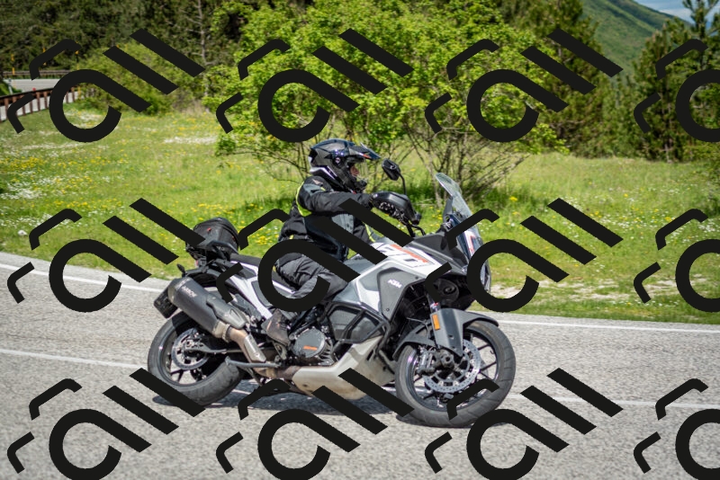 202505181120-DSC_8302_c2