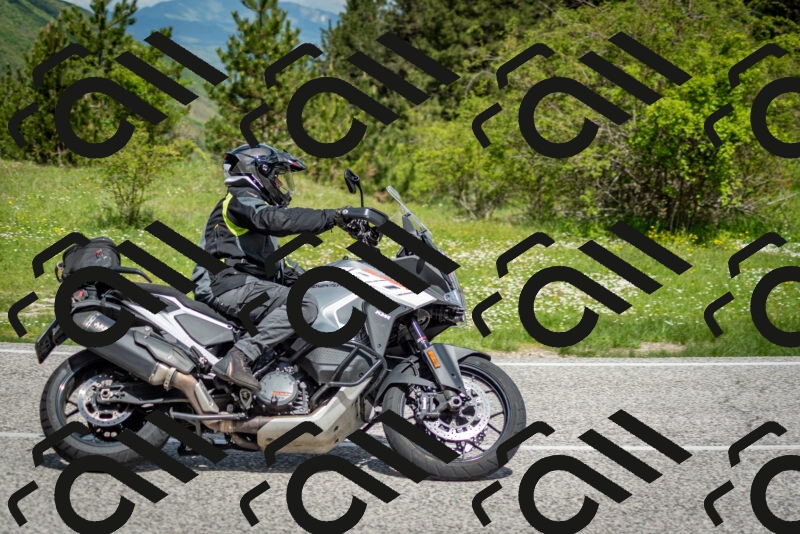 202505181120-DSC_8303_c2