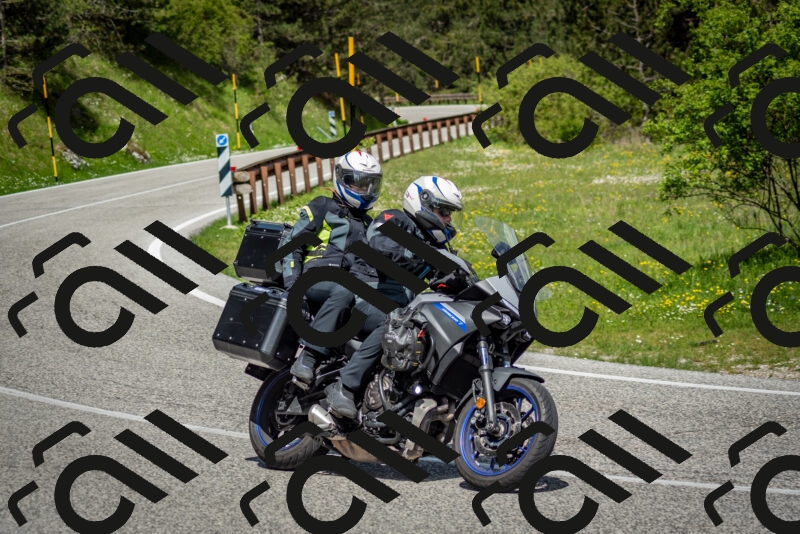 202505181120-DSC_8306_c2