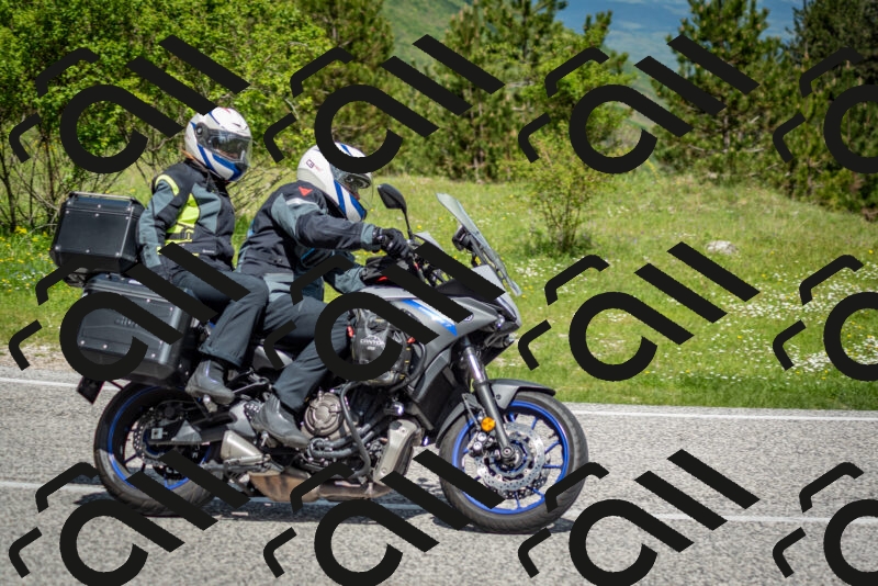 202505181120-DSC_8307_c2