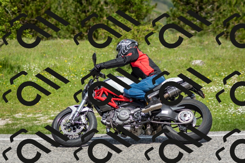 202505181120-DSC_8310_c2