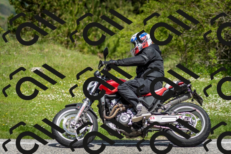 202505181120-DSC_8313_c2