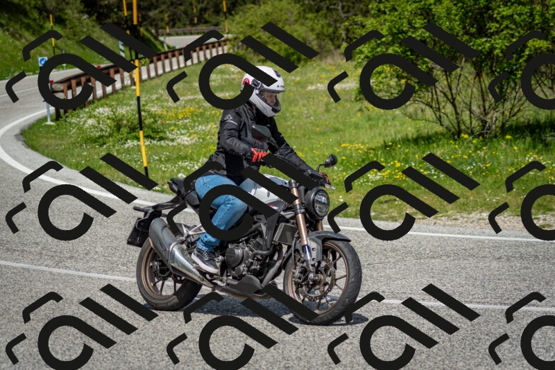 202505181120-DSC_8317_c2