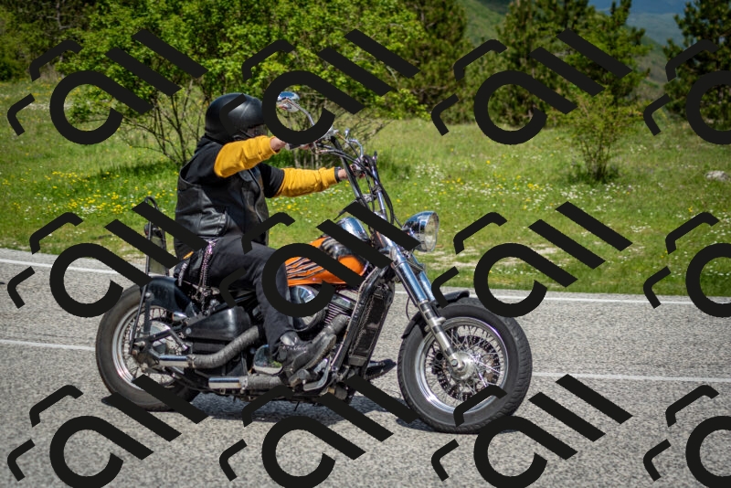 202505181120-DSC_8322_c2