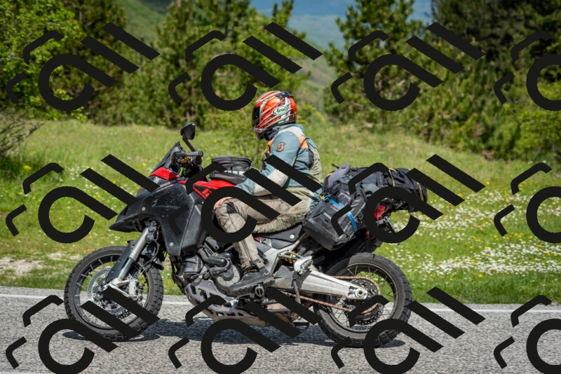 202505181120-DSC_8323_c2