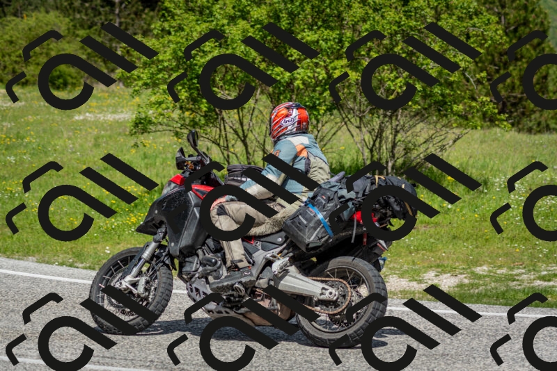 202505181120-DSC_8324_c2