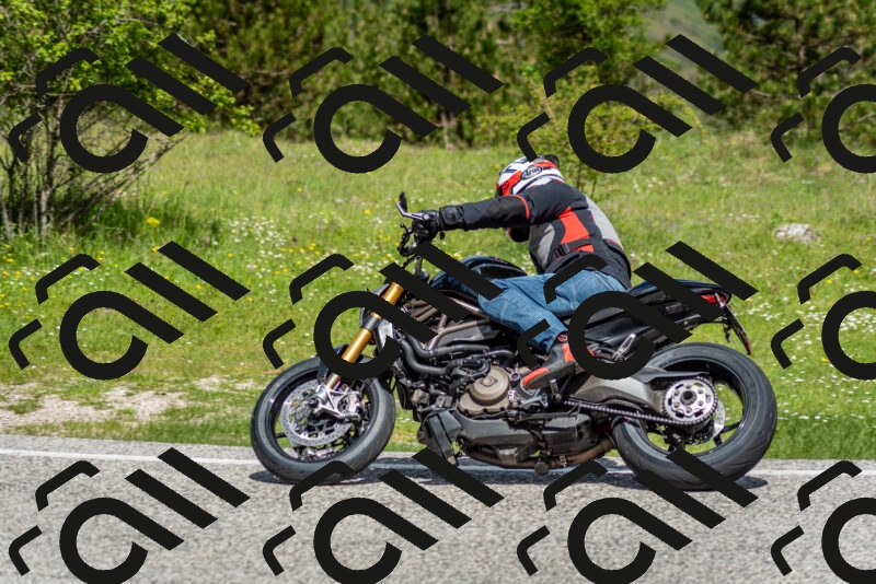 202505181121-DSC_8330_c2