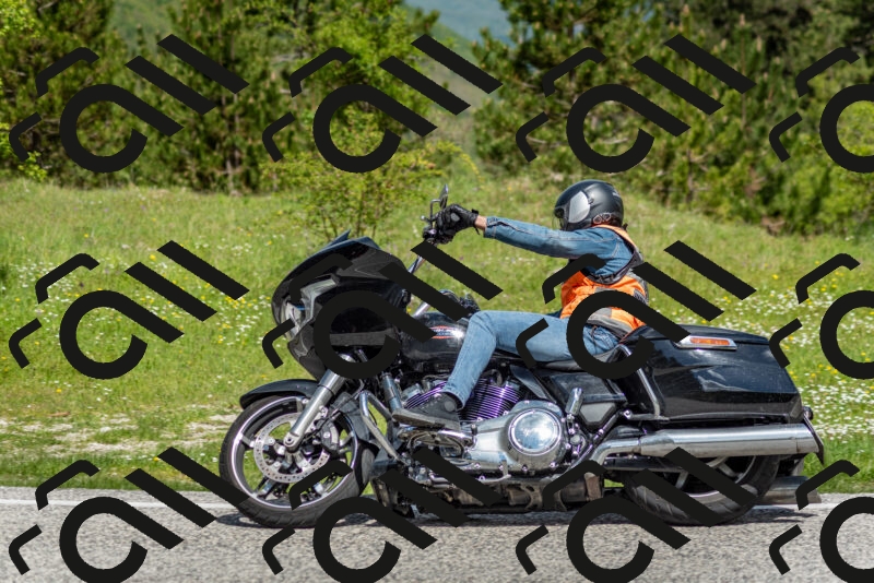 202505181121-DSC_8333_c2