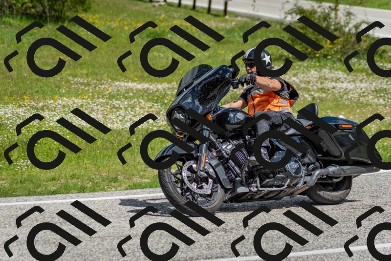 202505181121-DSC_8335_c2