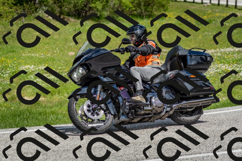 202505181121-DSC_8338_c2