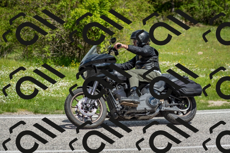 202505181121-DSC_8341_c2