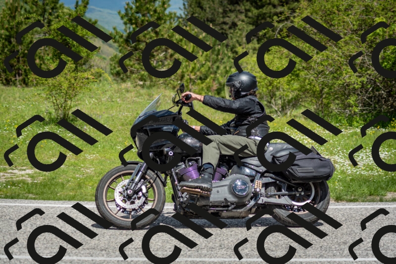 202505181121-DSC_8342_c2