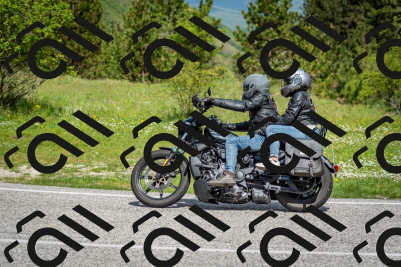 202505181121-DSC_8346_c2