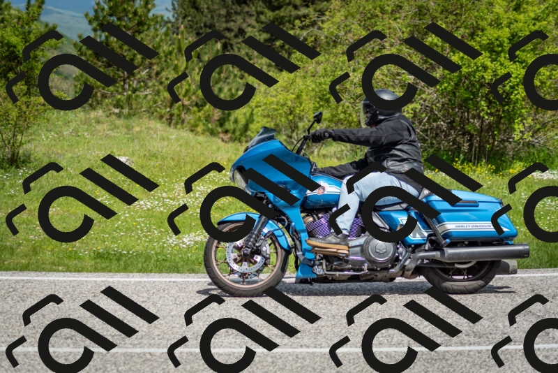 202505181121-DSC_8349_c2