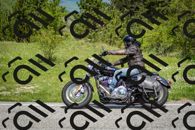 202505181121-DSC_8351_c2