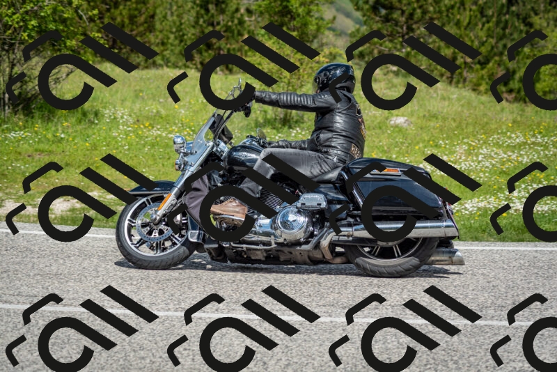 202505181121-DSC_8353_c2