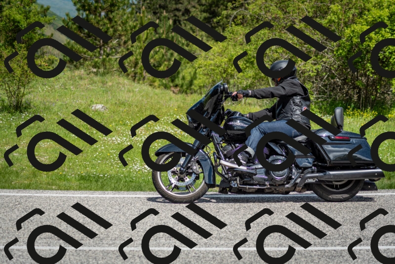 202505181121-DSC_8355_c2