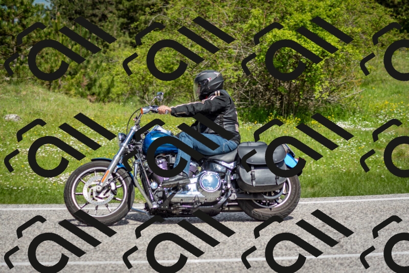 202505181121-DSC_8356_c2