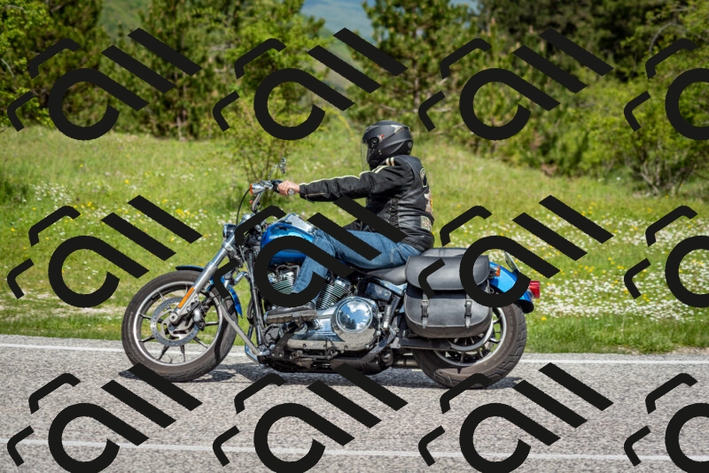 202505181121-DSC_8357_c2