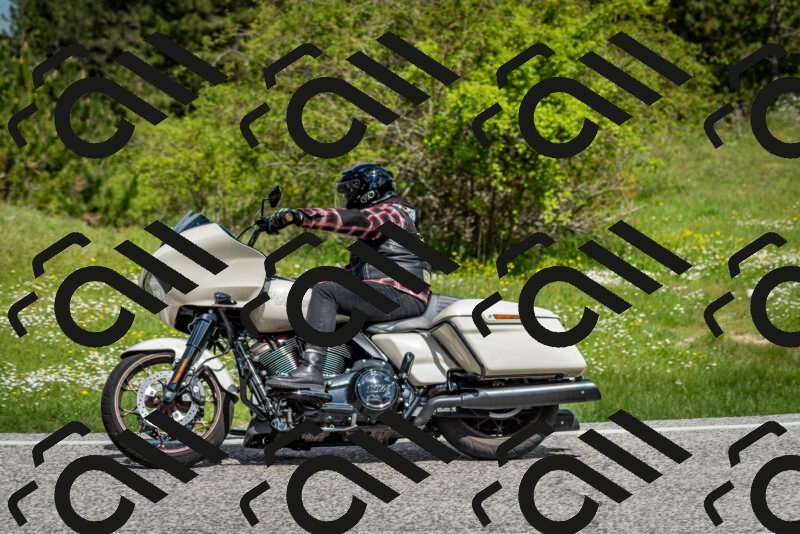 202505181121-DSC_8359_c2