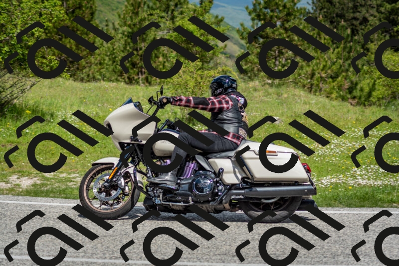 202505181121-DSC_8360_c2