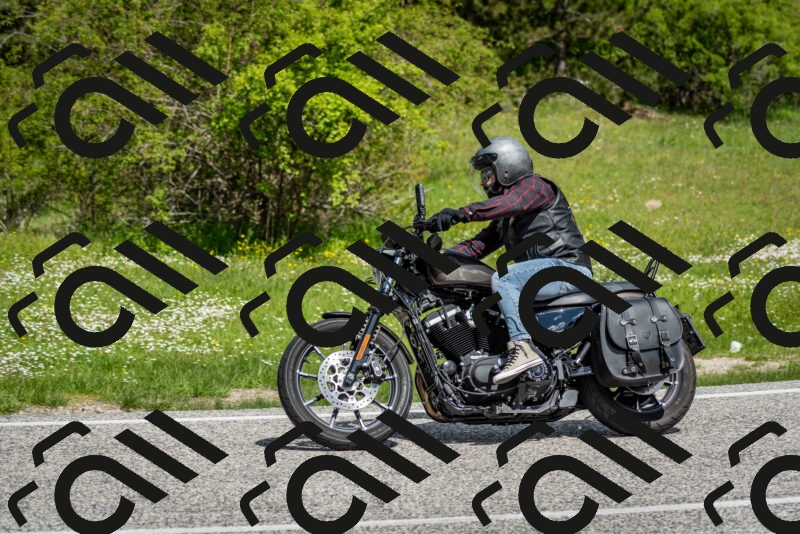 202505181121-DSC_8361_c2