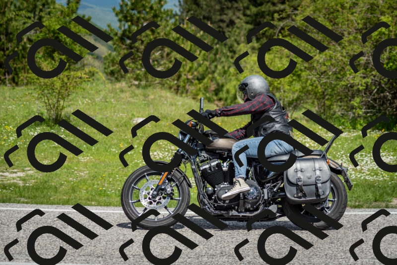 202505181121-DSC_8362_c2