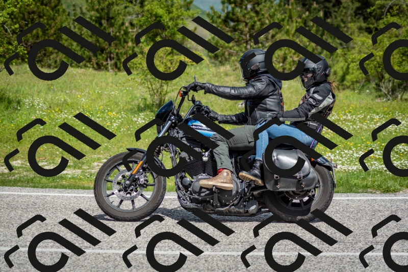 202505181122-DSC_8364_c2