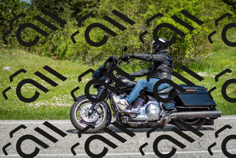 202505181122-DSC_8365_c2