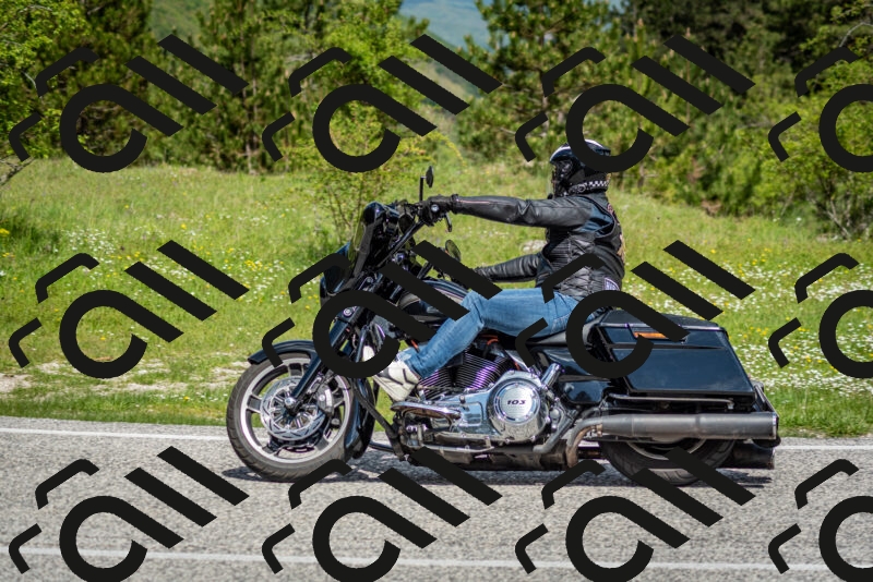 202505181122-DSC_8366_c2