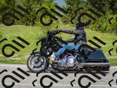 202505181122-DSC_8366_c2