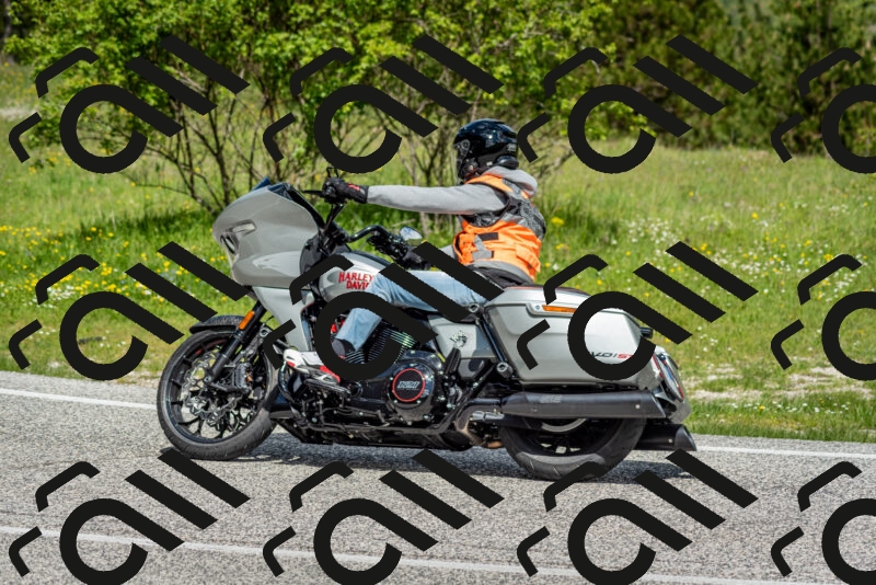 202505181122-DSC_8370_c2