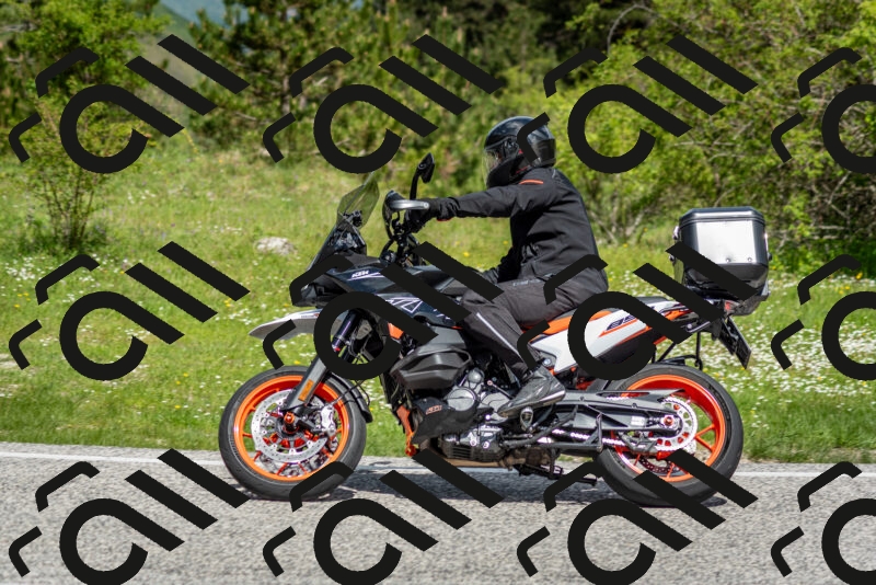 202505181122-DSC_8371_c2