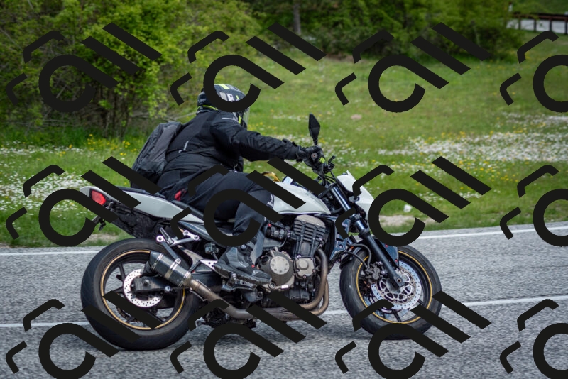 202505181122-DSC_8378_c2