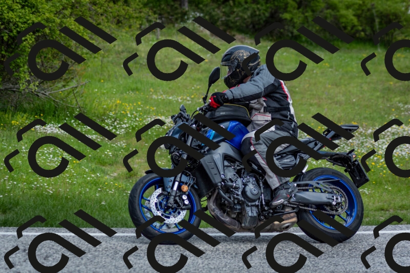 202505181123-DSC_8380_c2