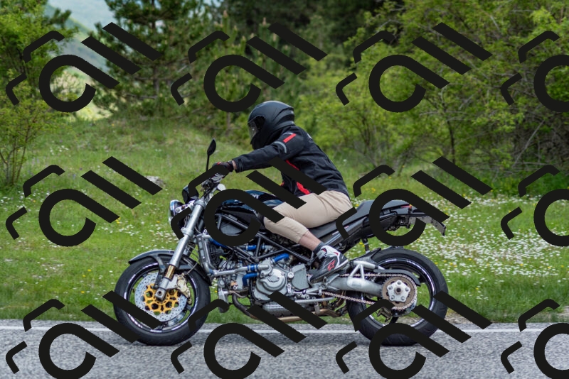 202505181123-DSC_8384_c2