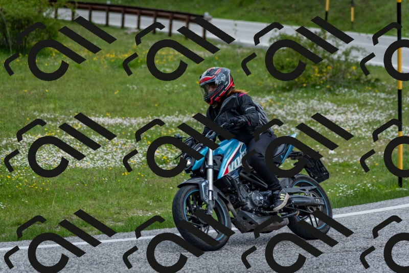 202505181123-DSC_8385_c2